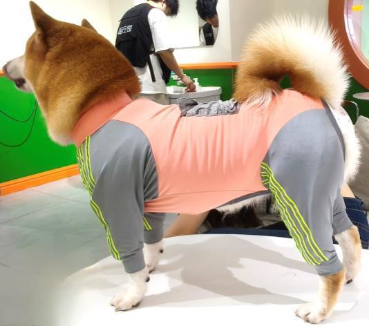image.png image.png